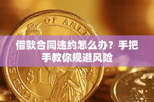 武汉借款合同违约怎么办？手把手教你规避风险
