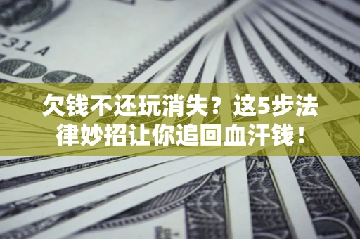 武汉欠钱不还玩消失？这5步法律妙招让你追回血汗钱！