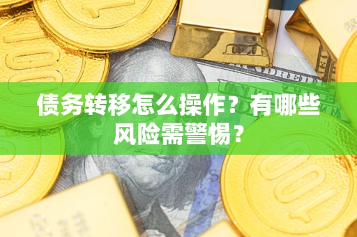 武汉债务转移怎么操作？有哪些风险需警惕？