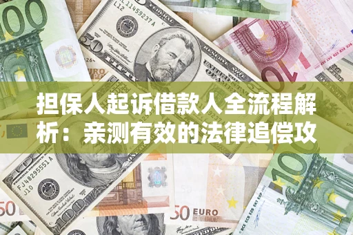 武汉担保人起诉借款人全流程解析：亲测有效的法律追偿攻略