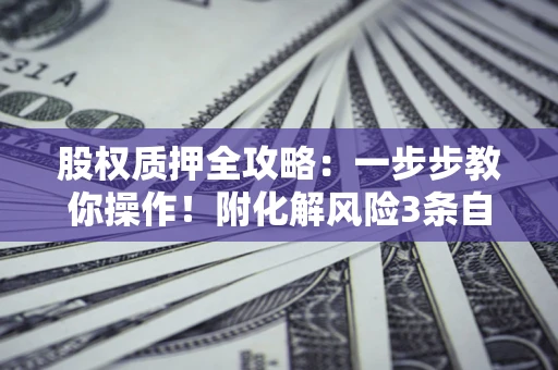 武汉股权质押全攻略：一步步教你操作！附化解风险3条自救法则