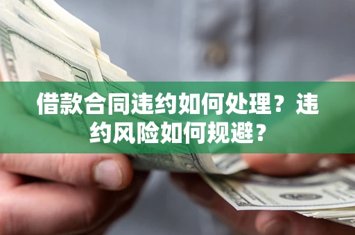 武汉借款合同违约如何处理？违约风险如何规避？