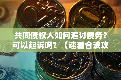 武汉共同债权人如何追讨债务？可以起诉吗？（速看合法攻略）