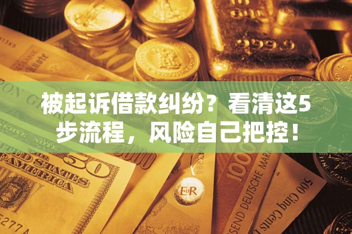 武汉被起诉借款纠纷？看清这5步流程，风险自己把控！