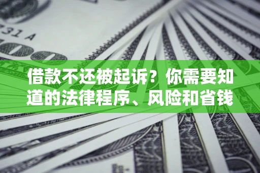 武汉借款不还被起诉？你需要知道的法律程序、风险和省钱技巧